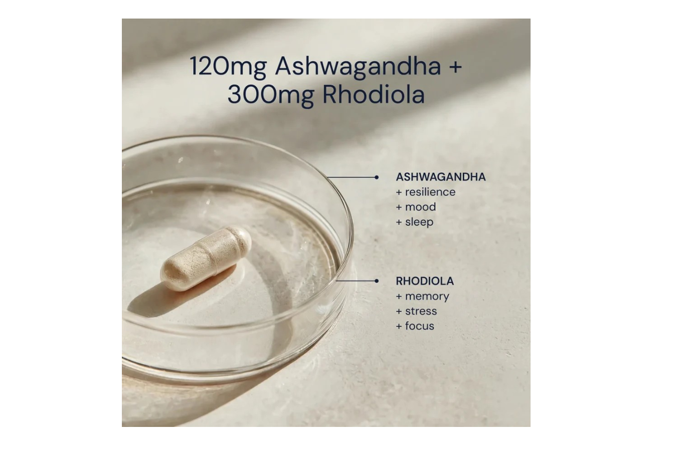Ashwagandha + Rhodiola