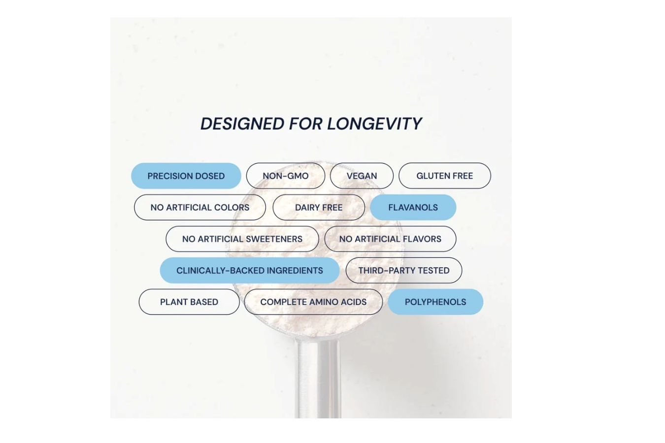 Longevity Protein - Chocolate